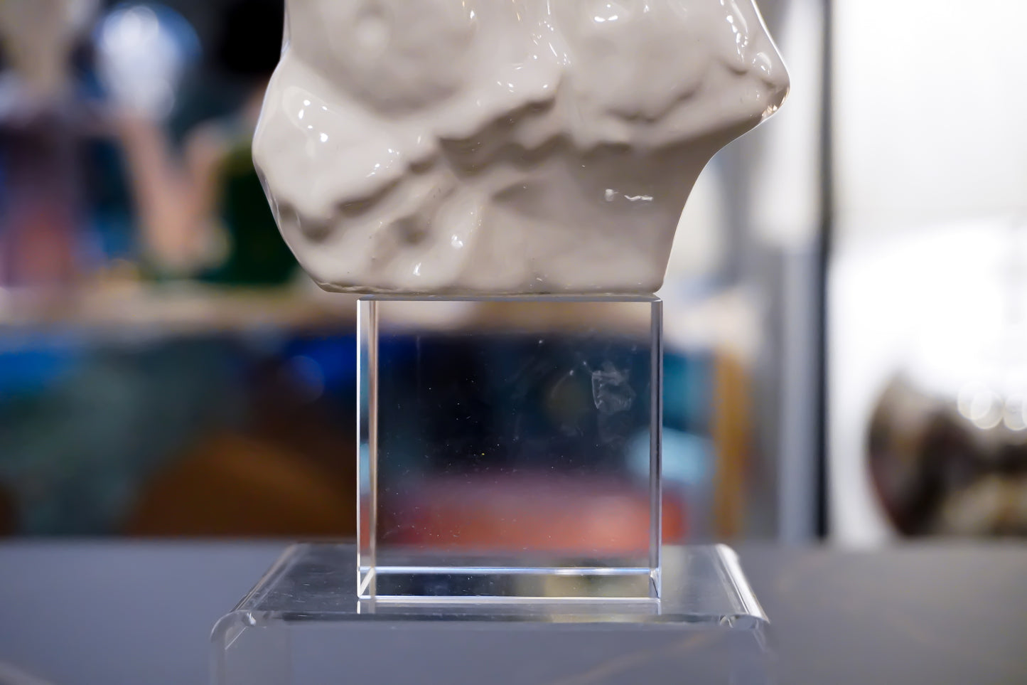 Busto Uomo Donna | Bianco