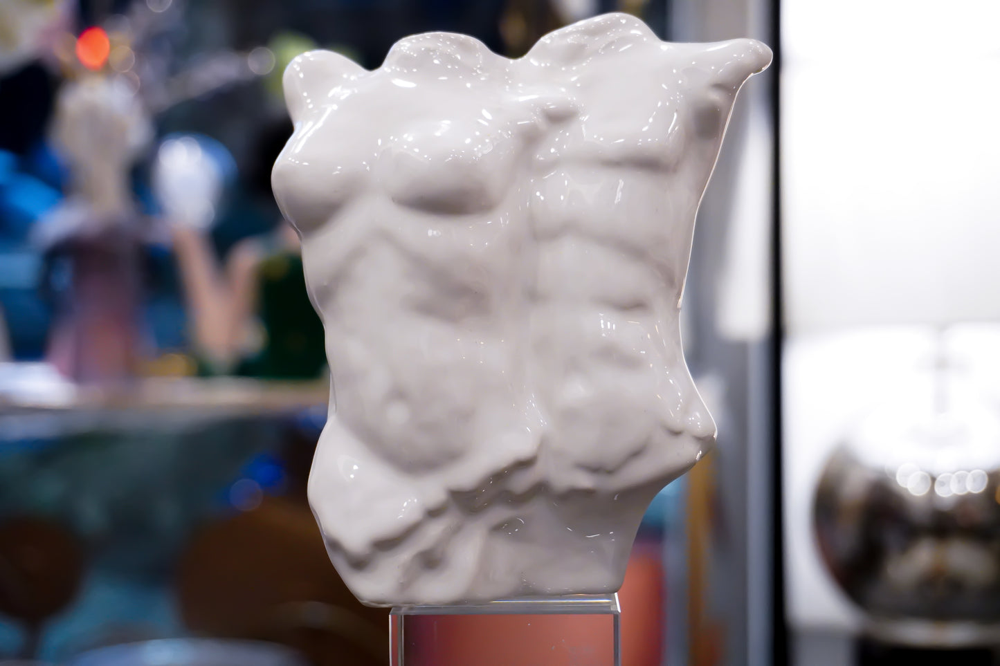 Busto Uomo Donna | Bianco