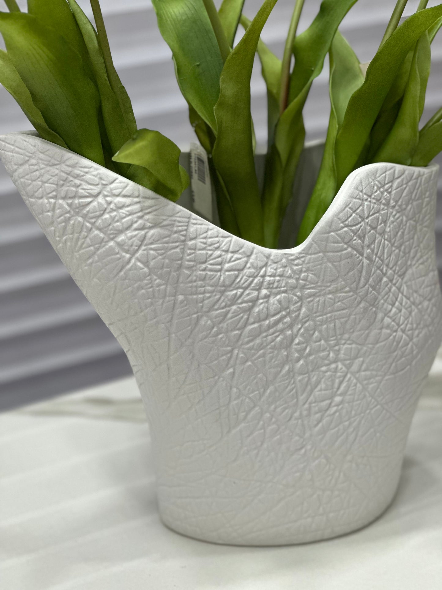 Vaso Elephant