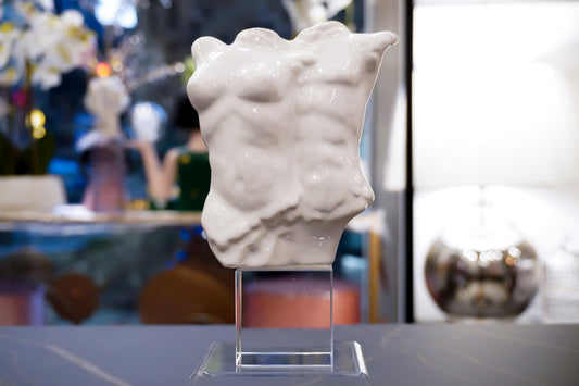 Busto Uomo Donna | Bianco
