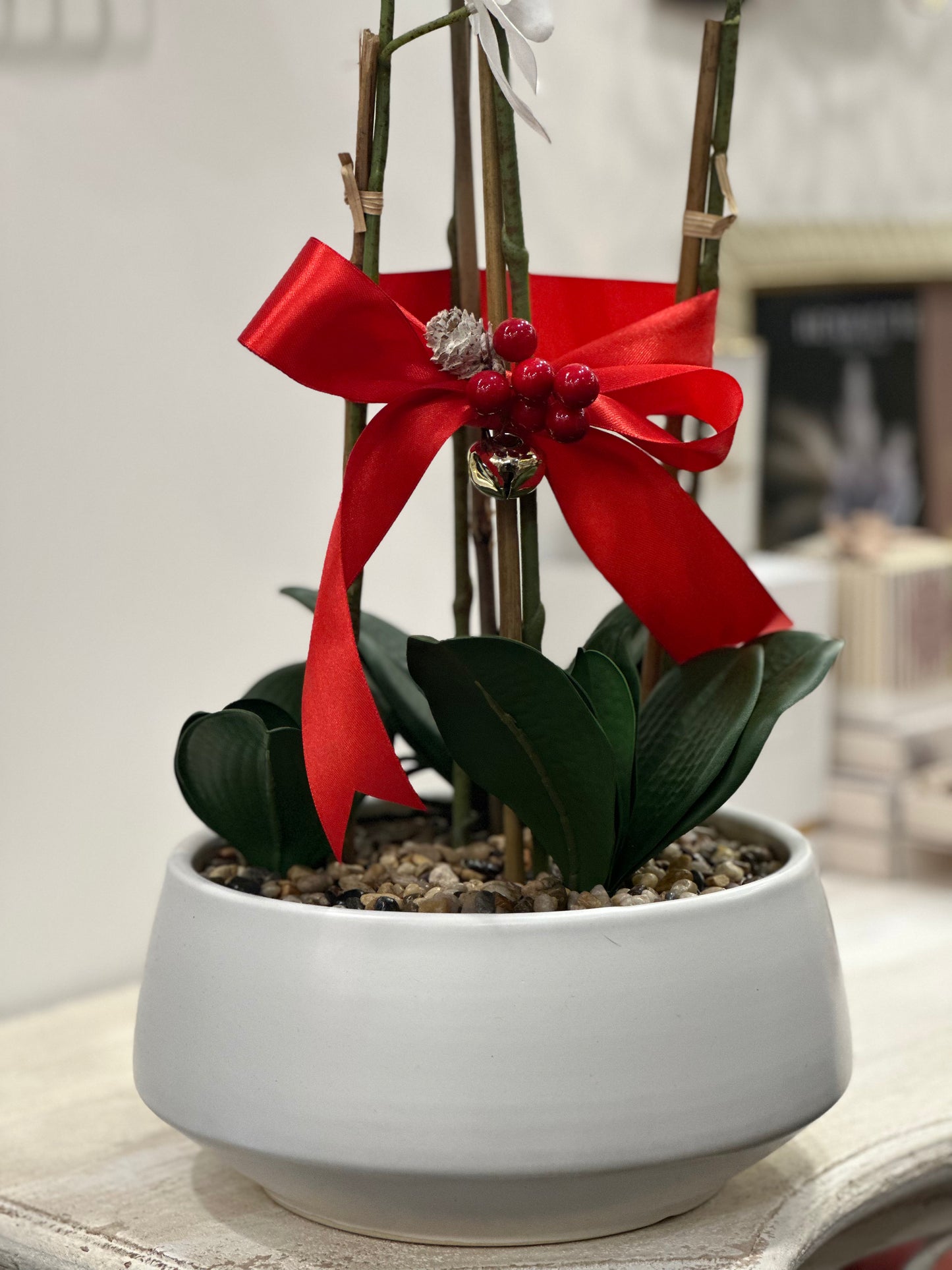 Orchidea Natalizia | 55 CM