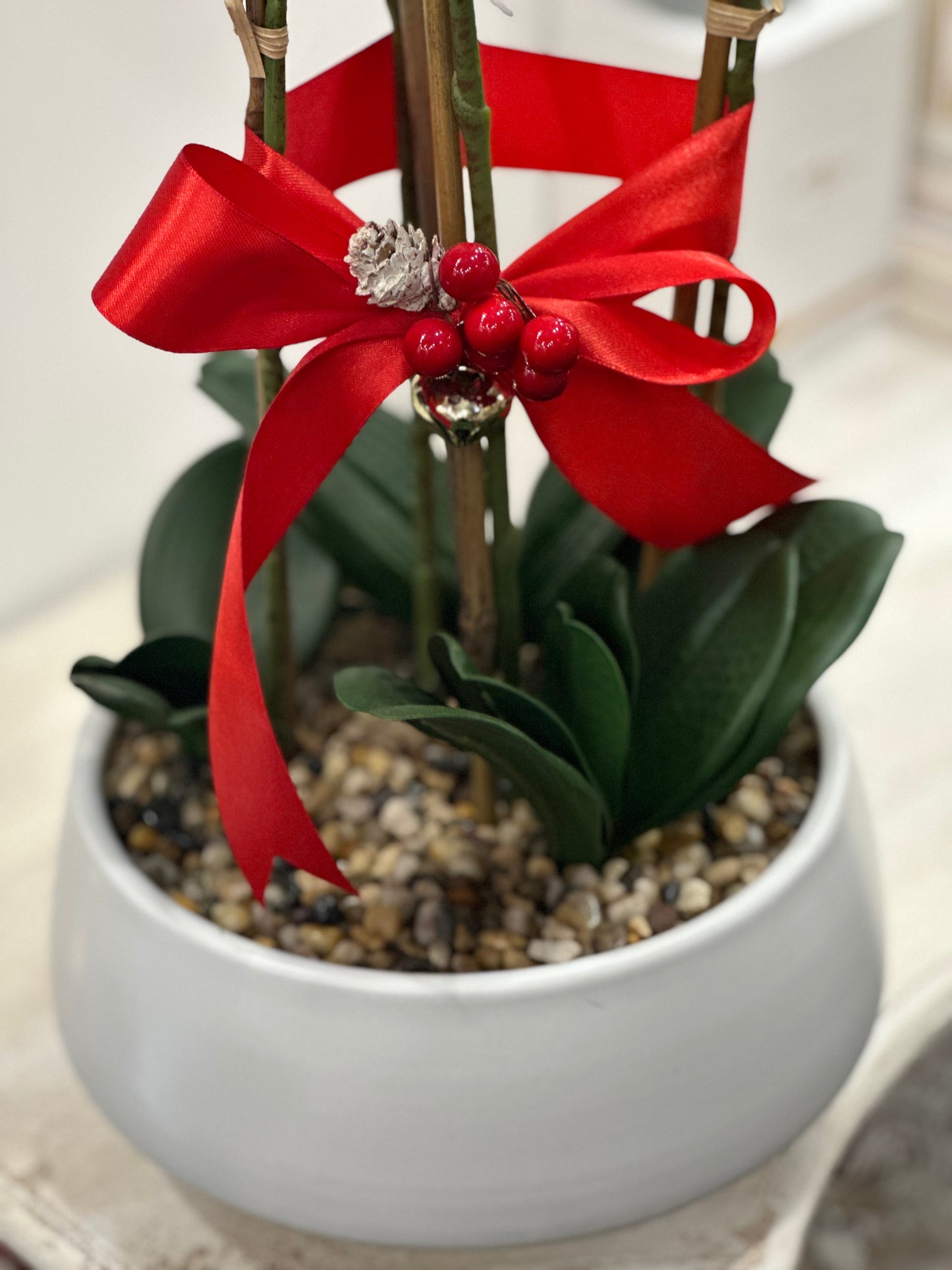 Orchidea Natalizia | 55 CM